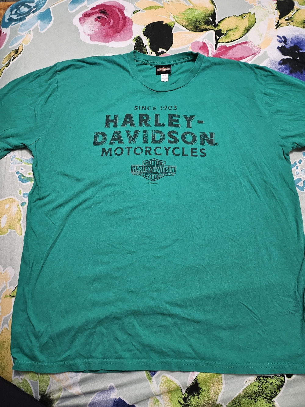 Harley-Davidson Men’s Teal Graphic Logo T-Shirt